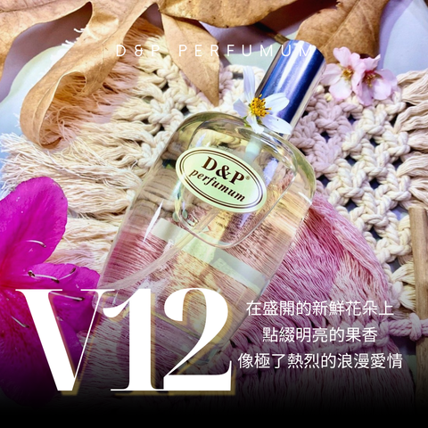 V12_bare