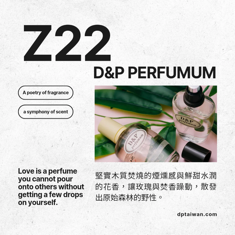 Z22_fate