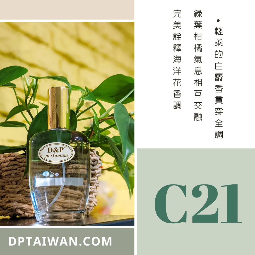 _C series (10)