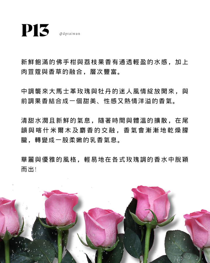 P13-mirror-1