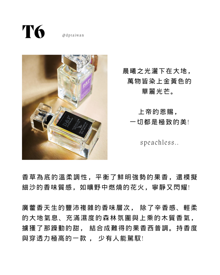 T6-mirror-1