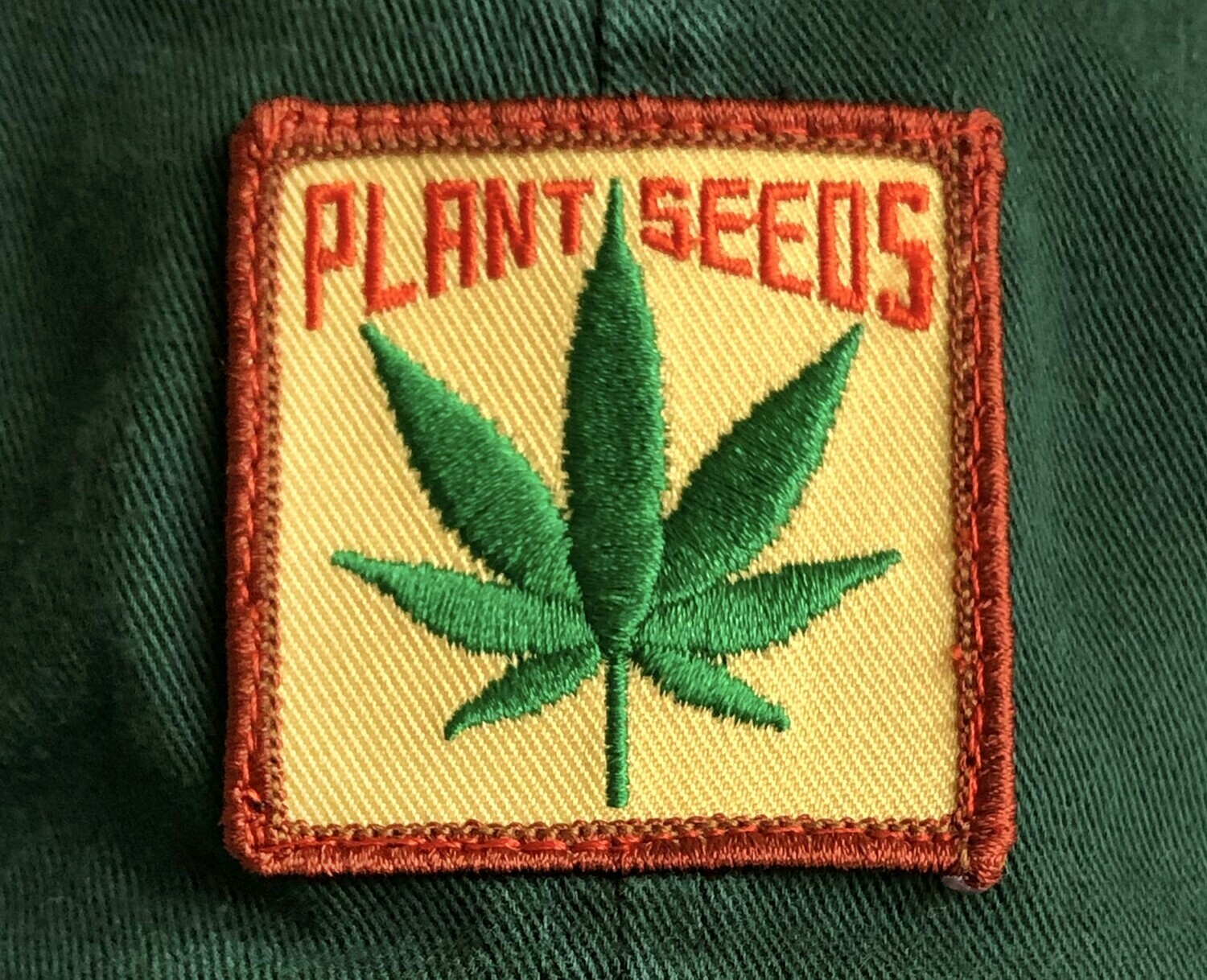 1768179186.jpg