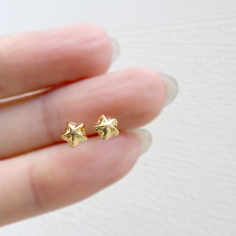星願星銀座白石