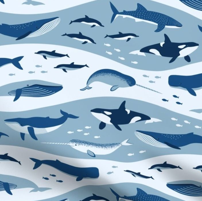 309-浪裡鯨魚