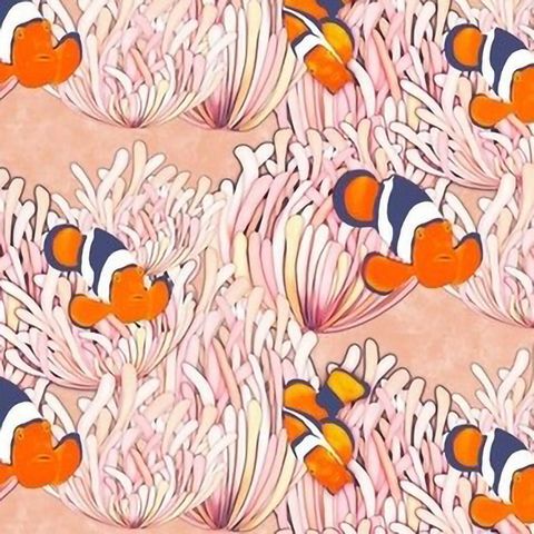331-粉海葵小丑魚
