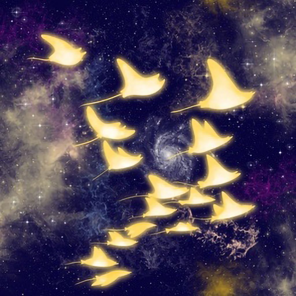 339-星空魟魚