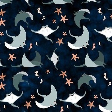 340-魟魚與海星海馬