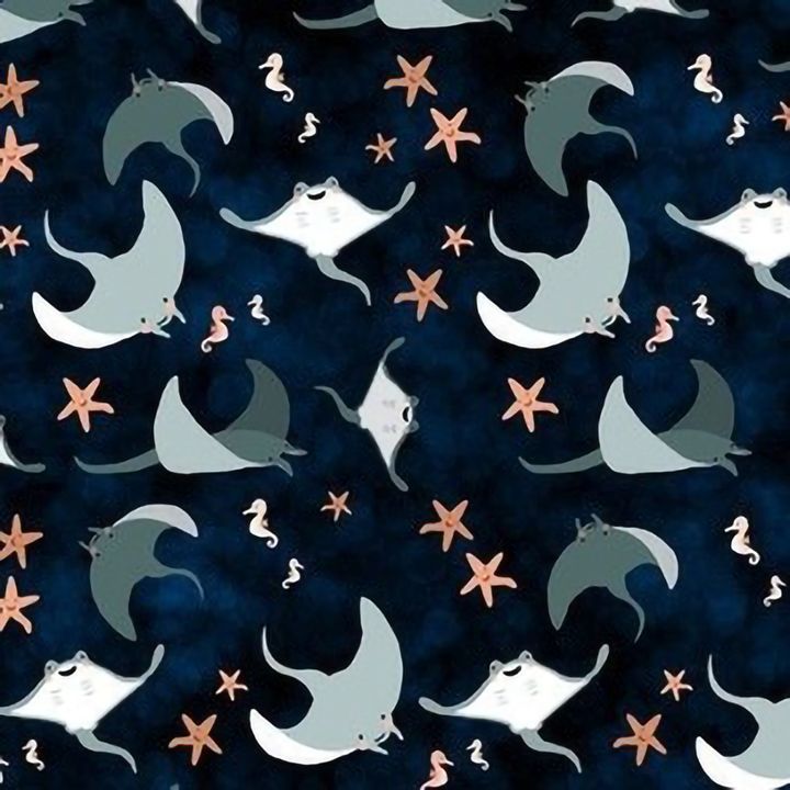 340-魟魚與海星海馬