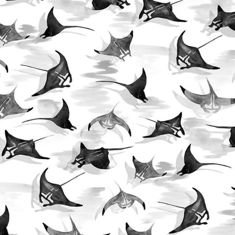 341-黑白MANTA