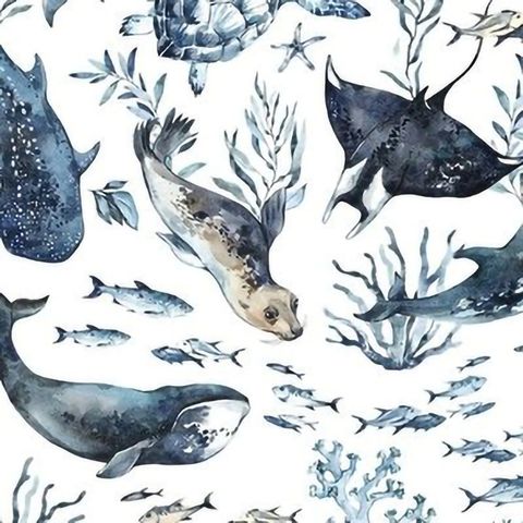 356-很多海洋生物