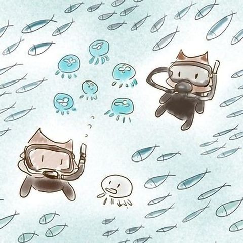 386-潛水貓