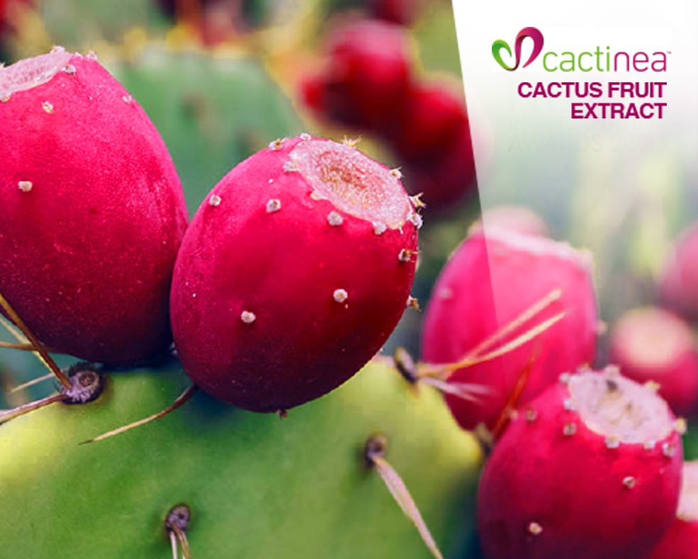 Cactinea®