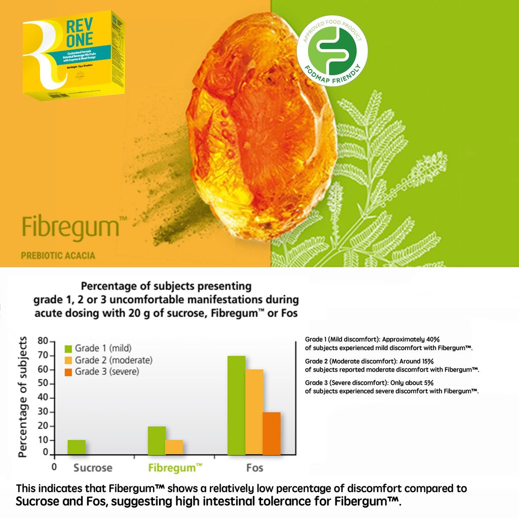 Revone FIBREGUM C S