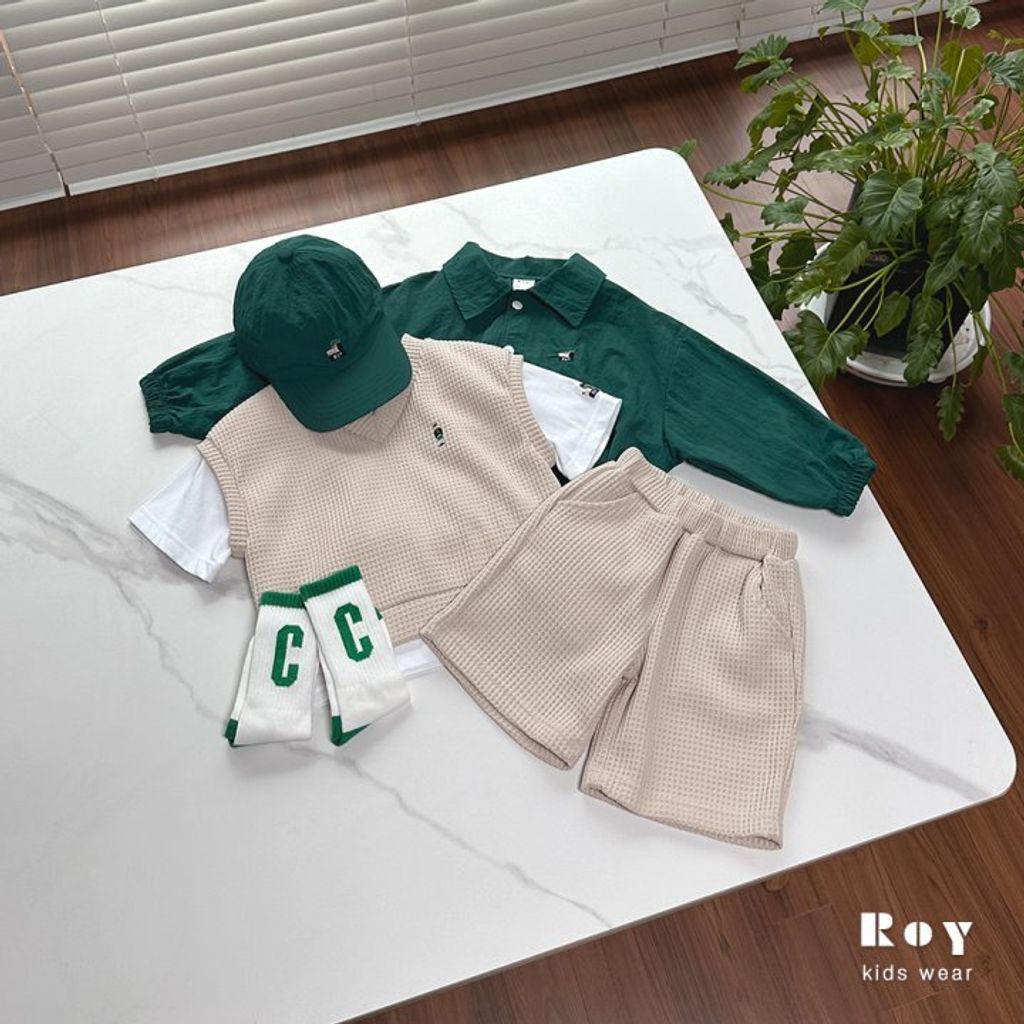 roy6-4