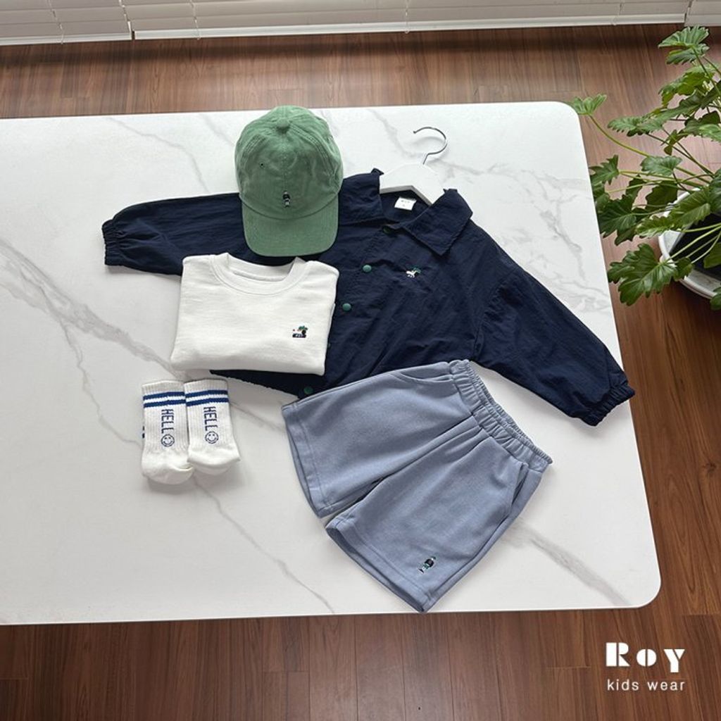 roy12-4
