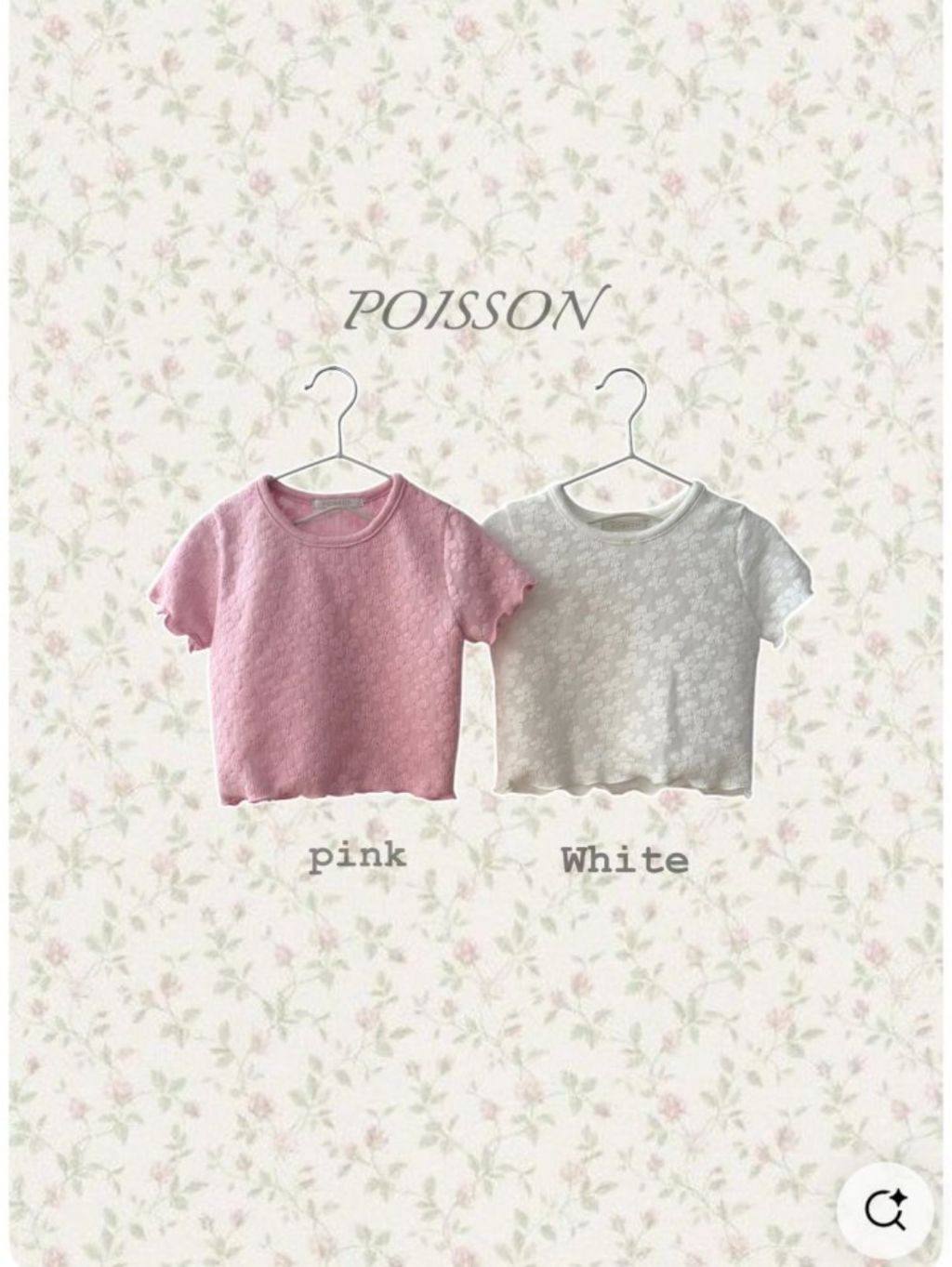 poisson 19 (1)