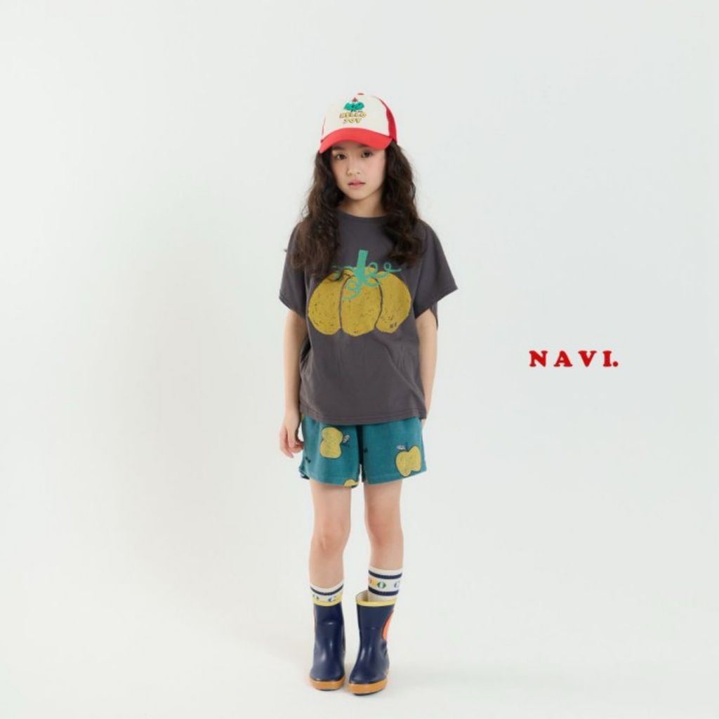 navi29-7
