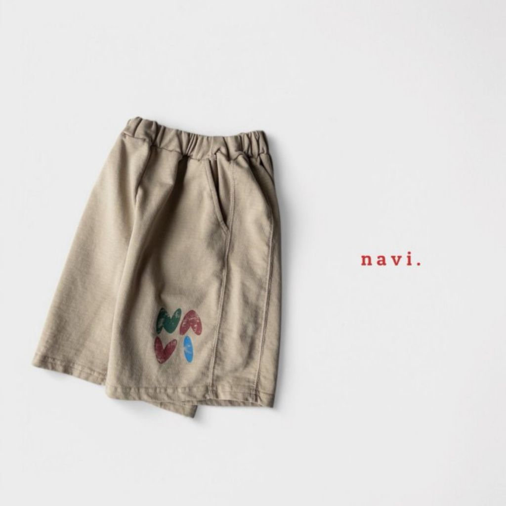 navi27-2