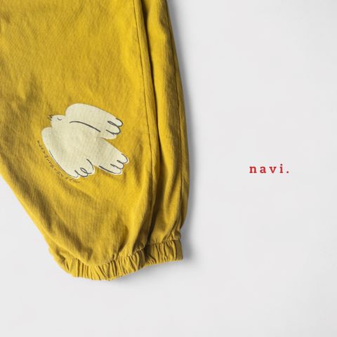 navi34-7