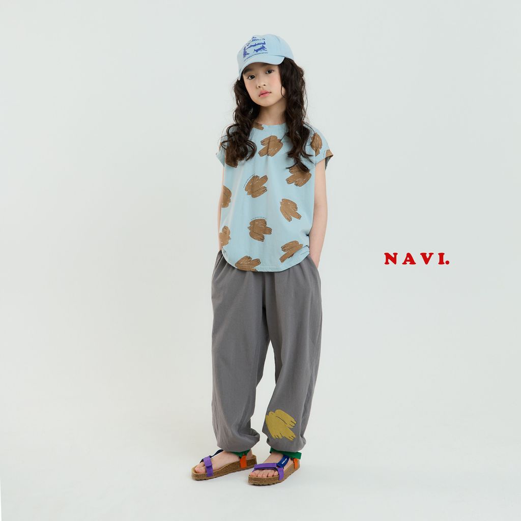 navi34-2