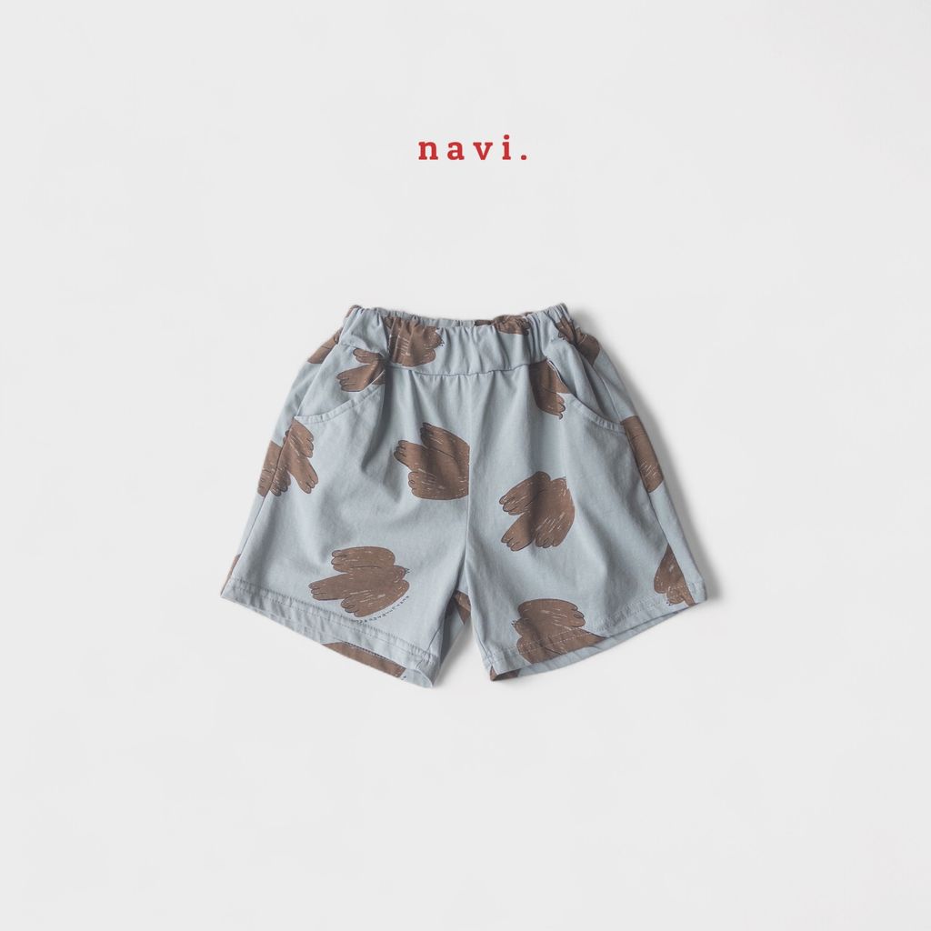 navi50-6