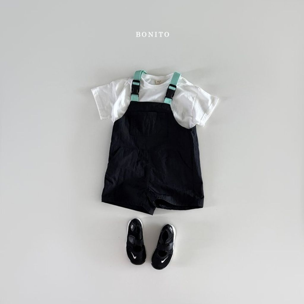 BOINTO18  (4)