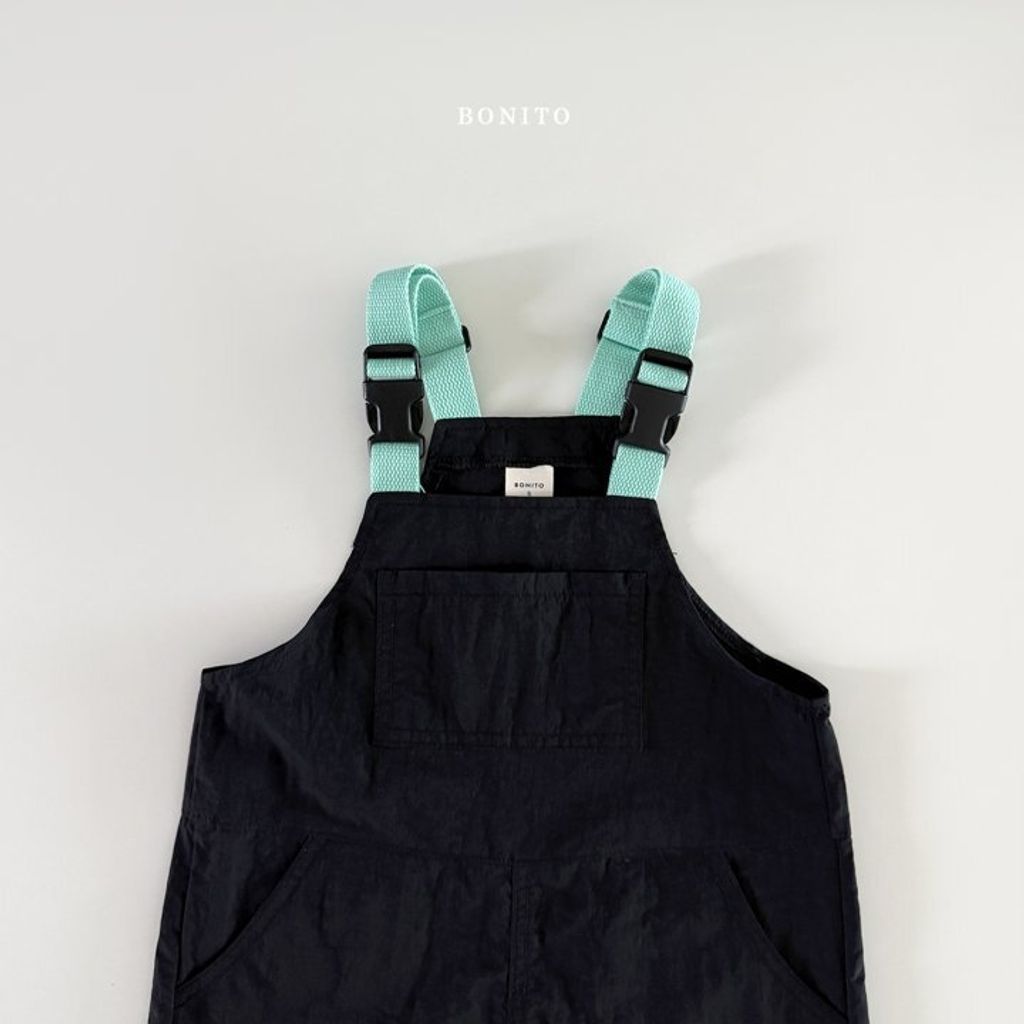 BOINTO18  (2)