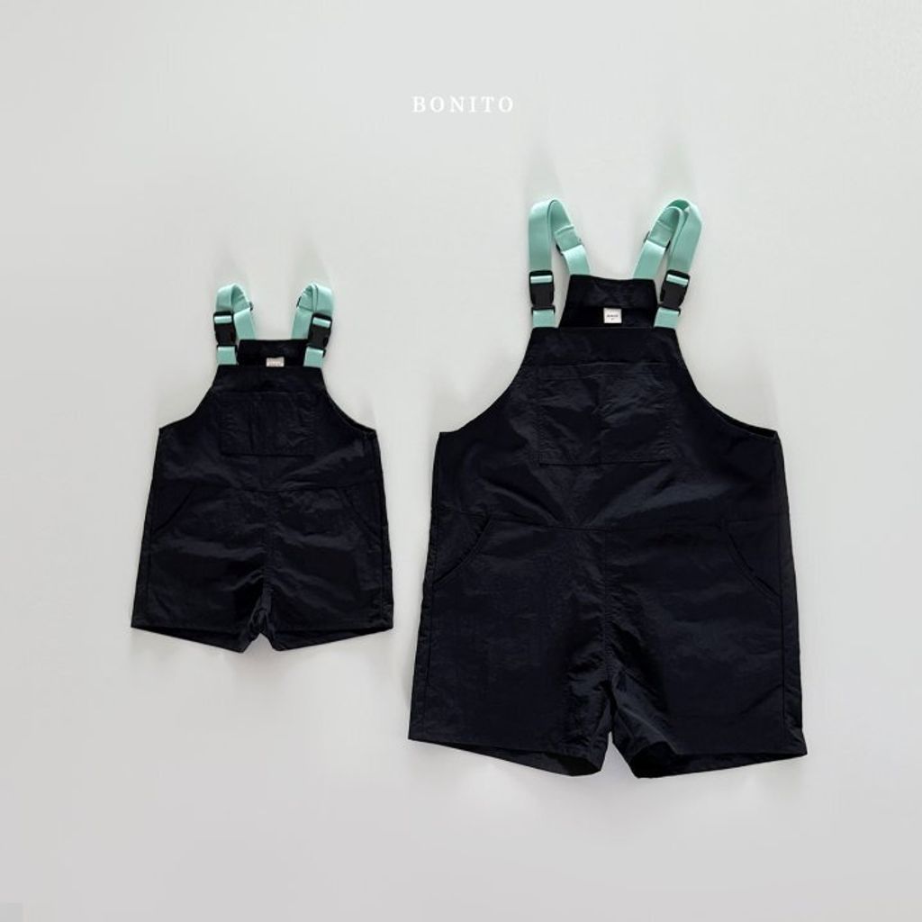 BOINTO18  (3)