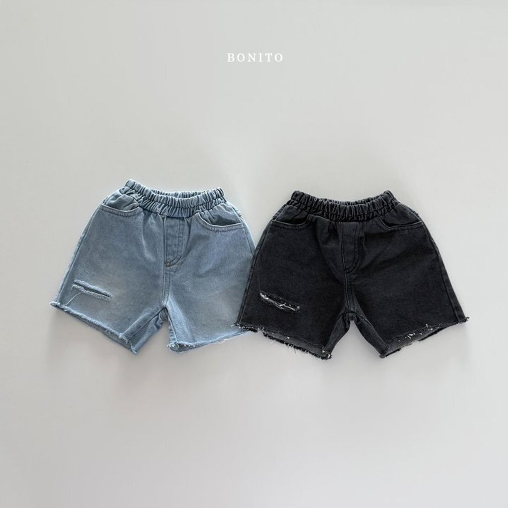 BOINTO13  (5)