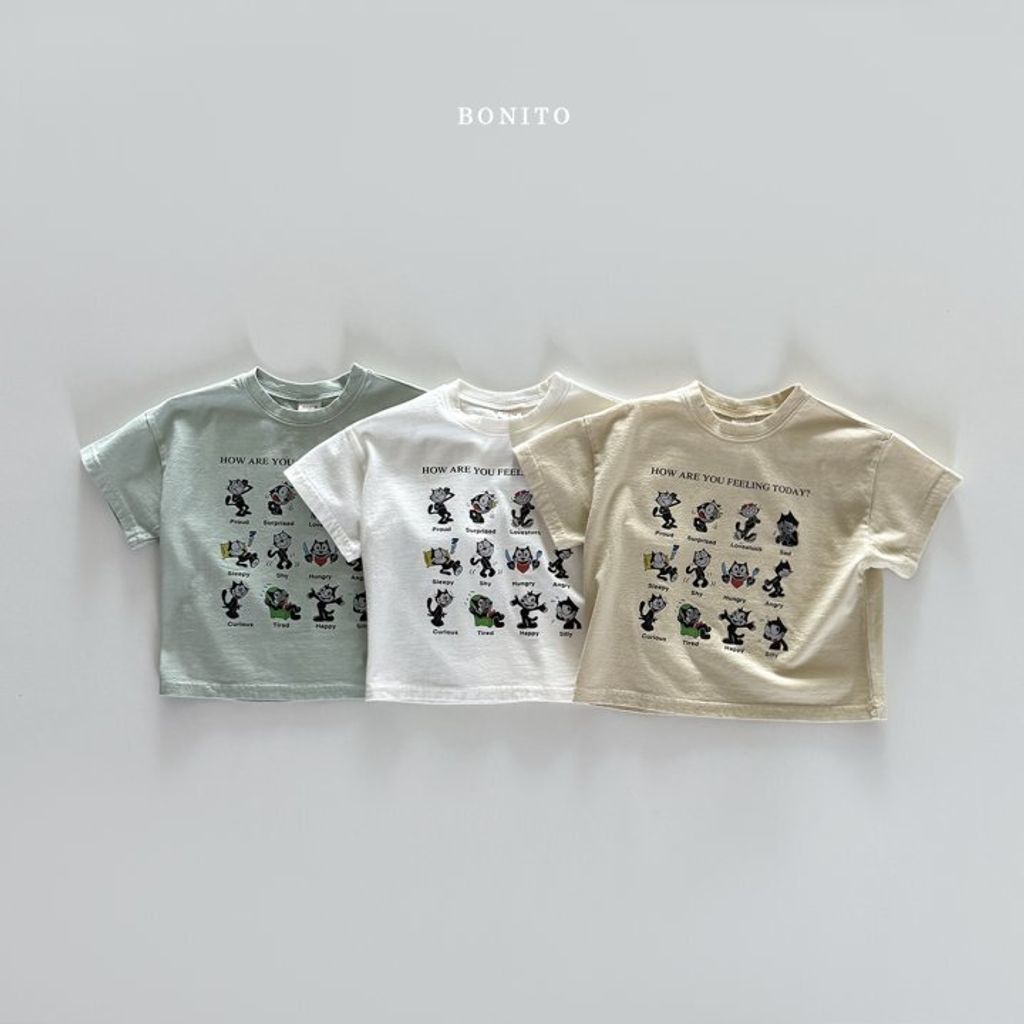 BOINTO4  (4)
