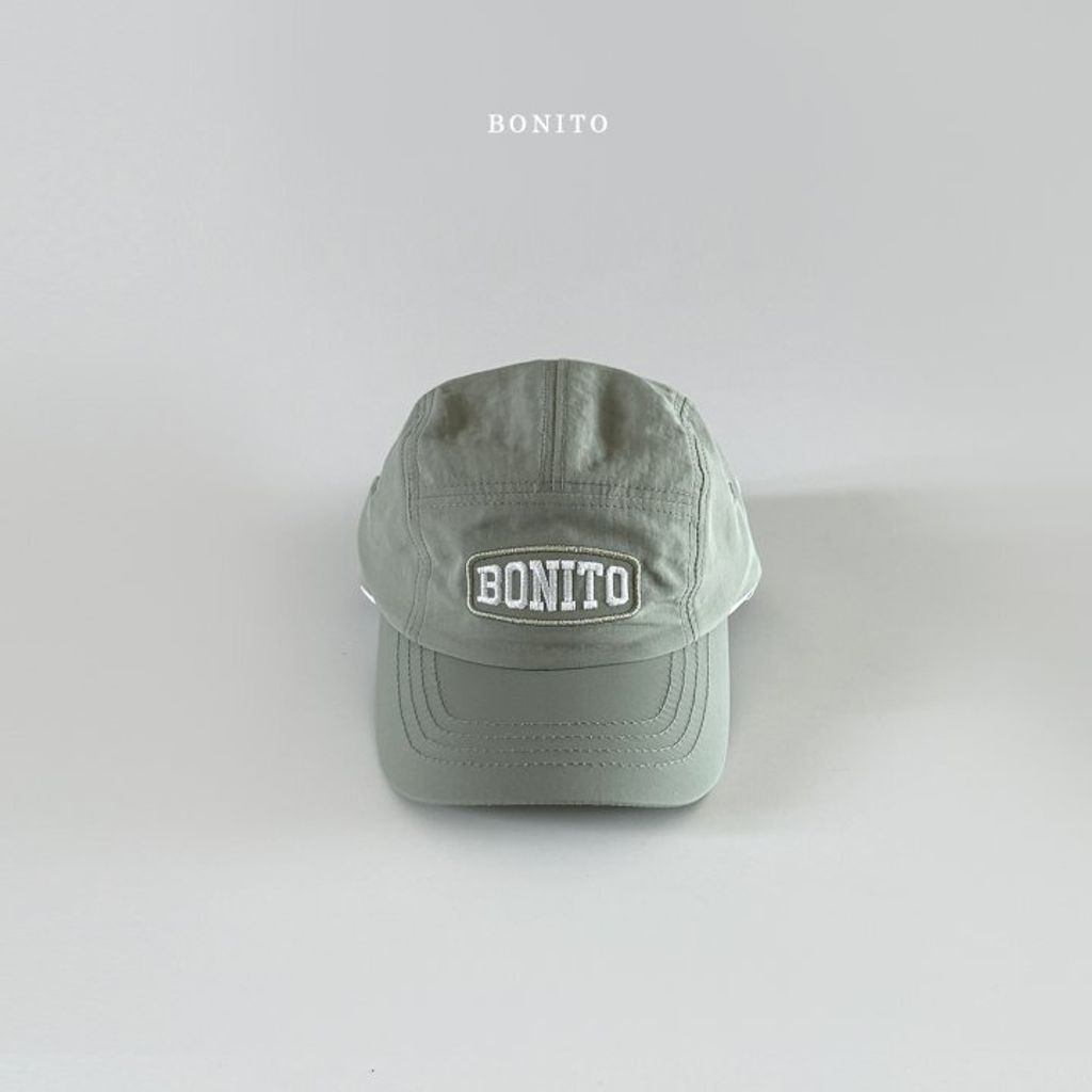 BOINTO1  (6)
