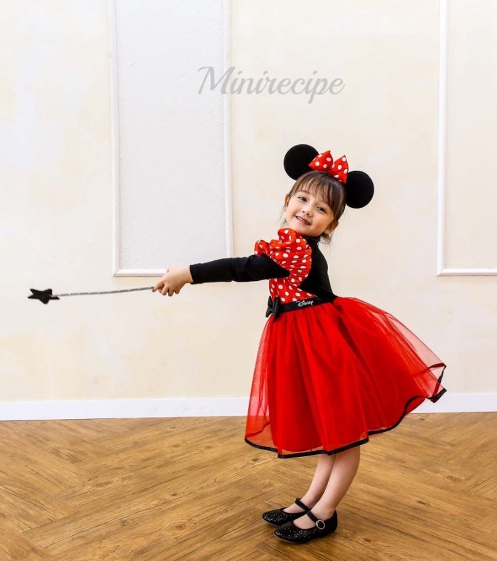 mini4-1