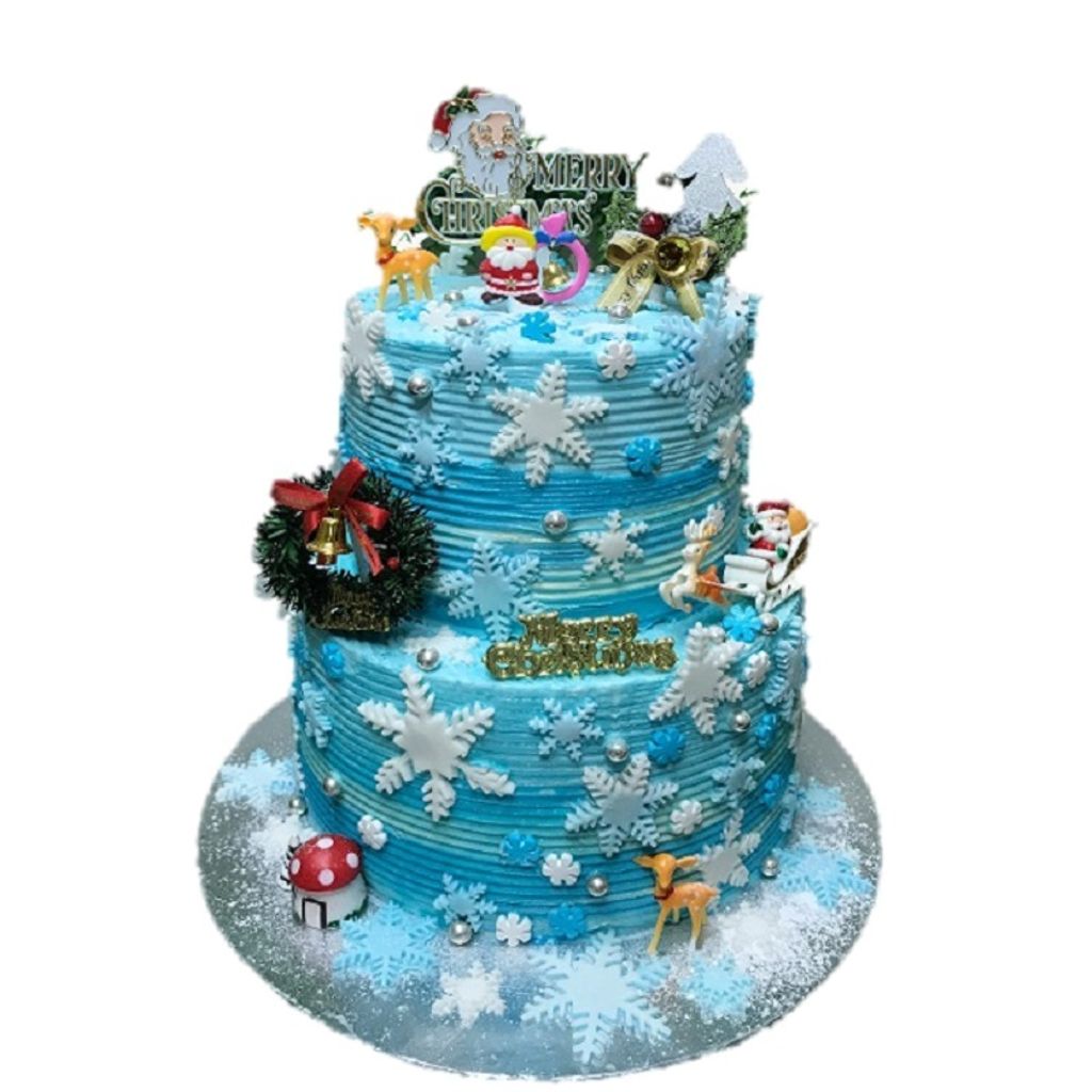 Frosty Christmas Cake.jpg