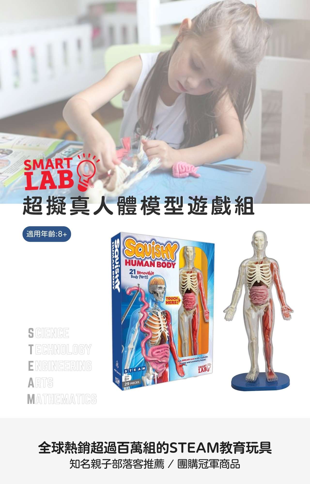 美國SmartLab 超擬真人體模型遊戲組_Squishy Human Body_產品說明 (1)