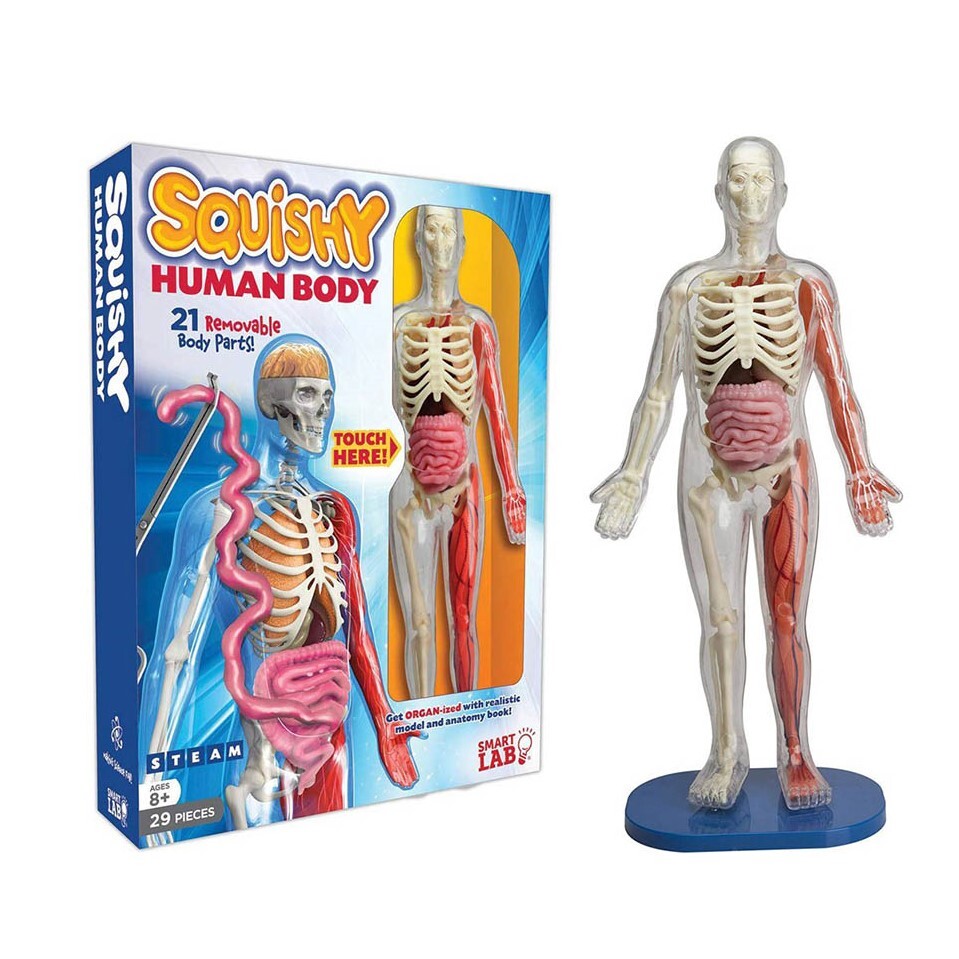 美國SmartLab 超擬真人體模型遊戲組_Squishy Human Body_產品封面