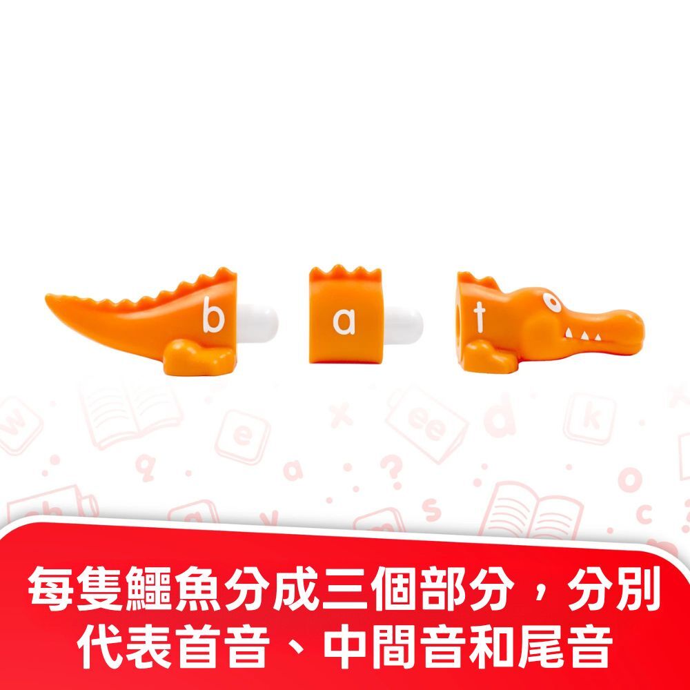 【美國Junior Learning】CVC拼字小鱷魚遊戲組 (3)