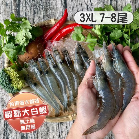 白蝦3XL 商品主圖(1200x1200)-01-1