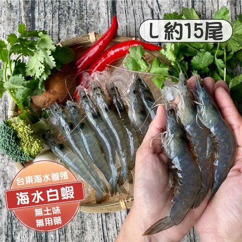 白蝦L 商品主圖(1200x1200)-01-1