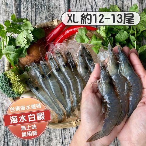 白蝦XL 商品主圖(1200x1200)