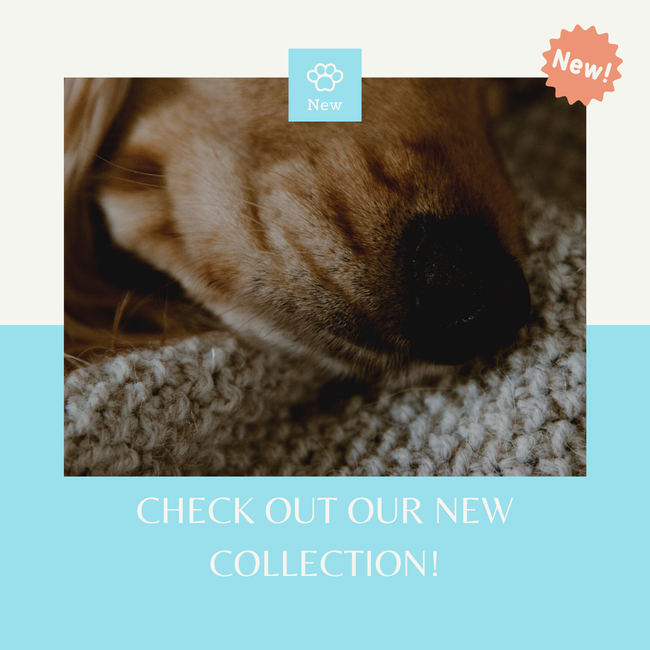 TheOnePet |  - New Arrival