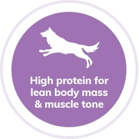 dog-high-protein