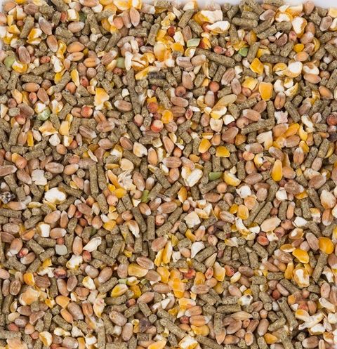 Chix Grain Mix 2.jpg