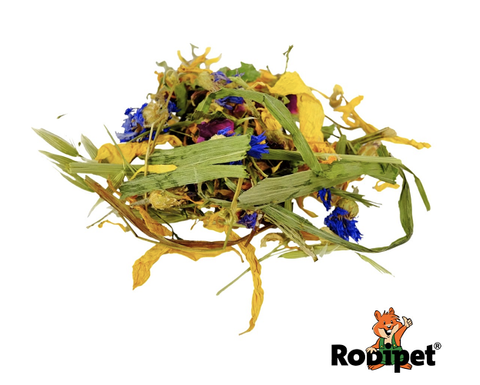 Rodipet® Nature’s Treasures Flowering Meadow 130g -2.png