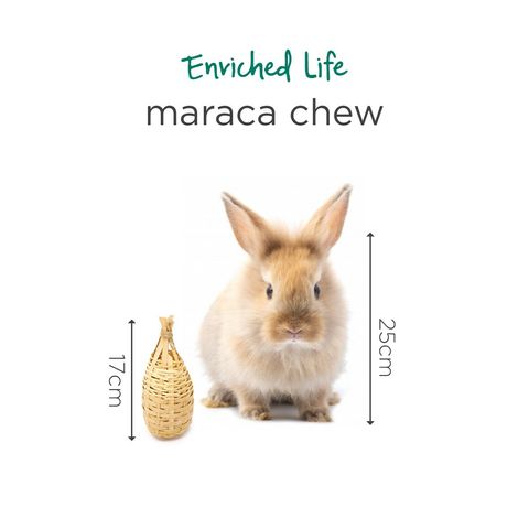 maraca chew.jpg