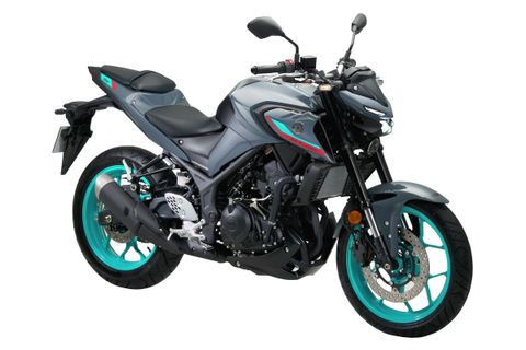 2022-Yamaha-MT-25-1