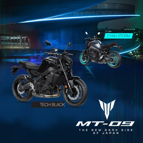 22MT09-BR