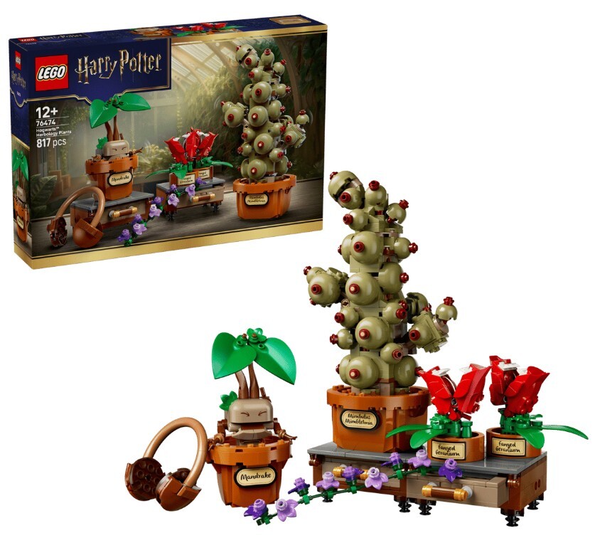 76474