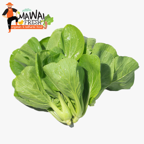 7 -Organic Siew Bak Choy 有机小白菜.png