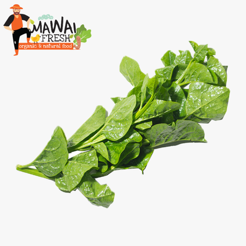 8 -Organic Ceylon Spinach 有机帝皇苗.png