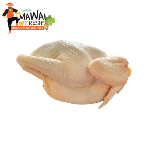 13-Ayam Kampung Asli +-1.8kg.png